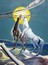 EVARISTO PEDRO CAETANO - Cavalos ao luar - 1997 - Acrilica sobre tela - 80 x 60 cm.jpg